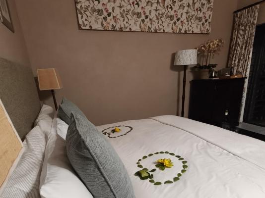 Plumbago Guest House - 243616