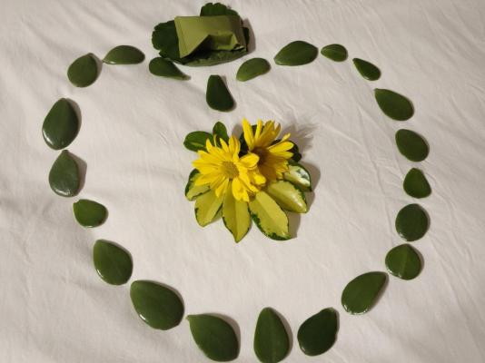 Plumbago Guest House - 243618