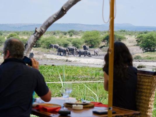 Tau Game Lodge - 243655