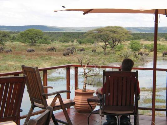 Tau Game Lodge - 243660