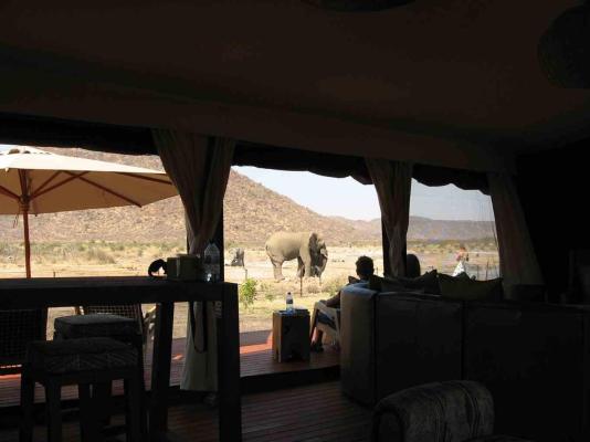 Tau Game Lodge - 243668