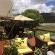 Tau Game Lodge - 243676