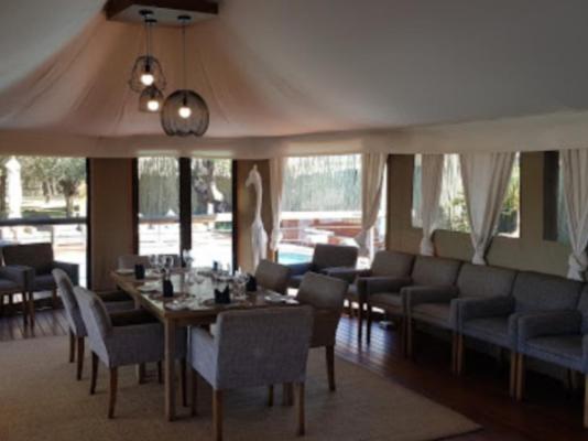 Tau Game Lodge - 243677