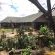 Tau Game Lodge - 243678
