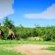 Tau Game Lodge - 243681
