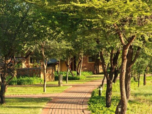 Tau Game Lodge - 243685