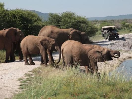 Tau Game Lodge - 243693