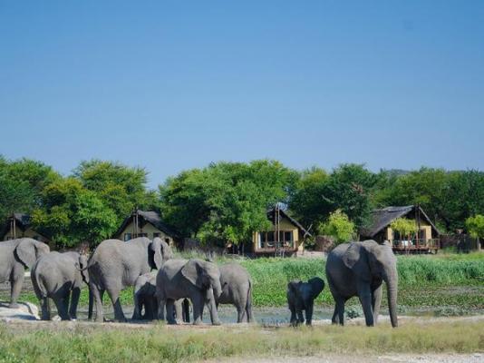 Tau Game Lodge - 243695