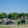 Tau Game Lodge - 243695