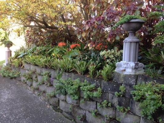 theSolution BnB - 243883