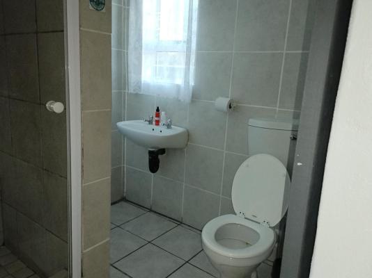 Windpomp Gastehuis - 244018