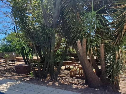 Buck Hill Bush Lodge - 244035