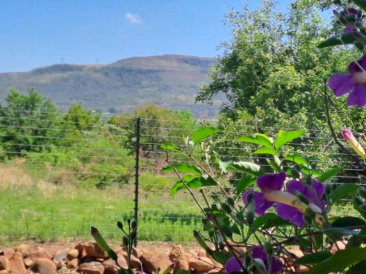 Buck Hill Bush Lodge - 244036