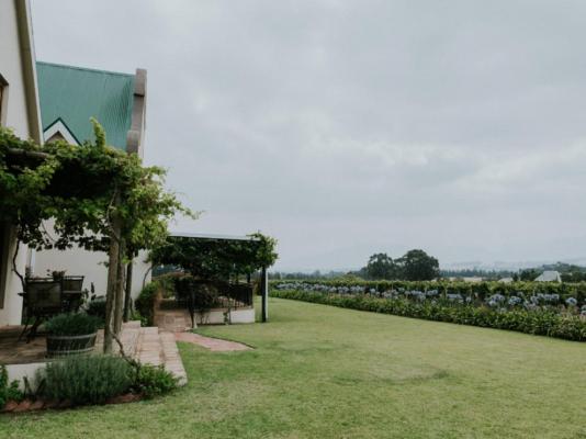 CANA Vineyard Guesthouse - 244128