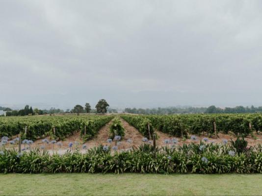 CANA Vineyard Guesthouse - 244132