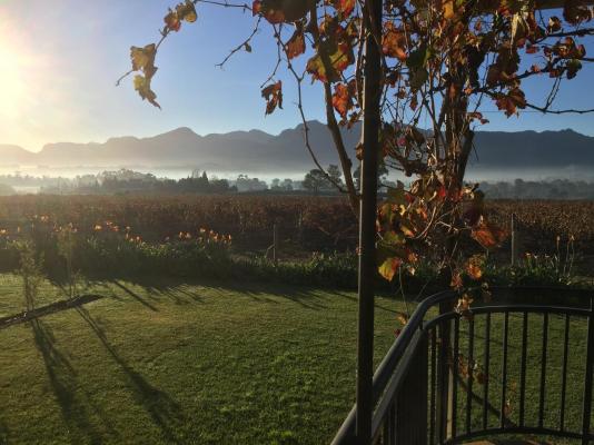 CANA Vineyard Guesthouse - 244136