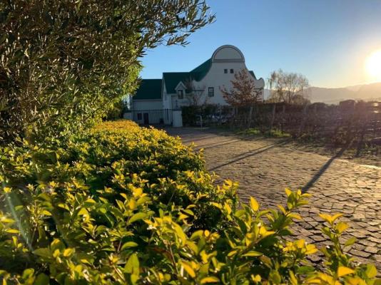 CANA Vineyard Guesthouse - 244137