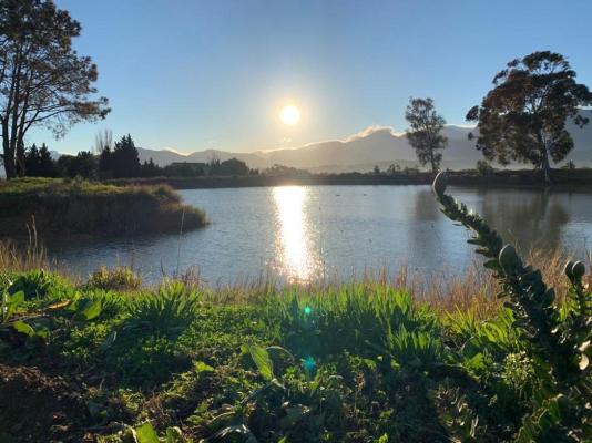 CANA Vineyard Guesthouse - 244139