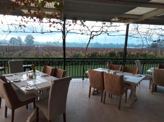 CANA Vineyard Guesthouse - 244141