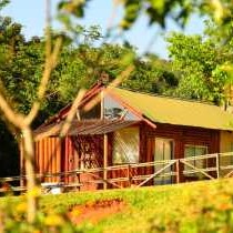 Mulberry Lane Suites & Tsanana Log Cabins - 244166