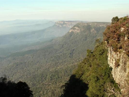 Mulberry Lane Suites & Tsanana Log Cabins - 244169