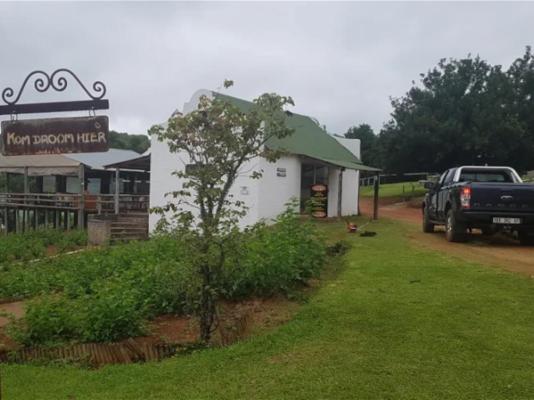 Mulberry Lane Suites & Tsanana Log Cabins - 244175