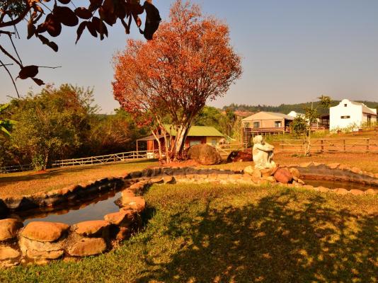 Mulberry Lane Suites & Tsanana Log Cabins - 244177