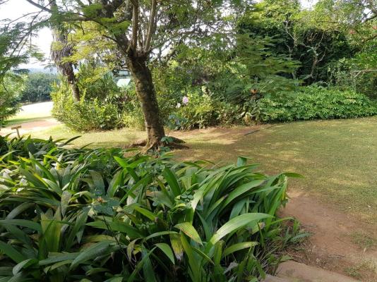 Mulberry Lane Suites & Tsanana Log Cabins - 244197