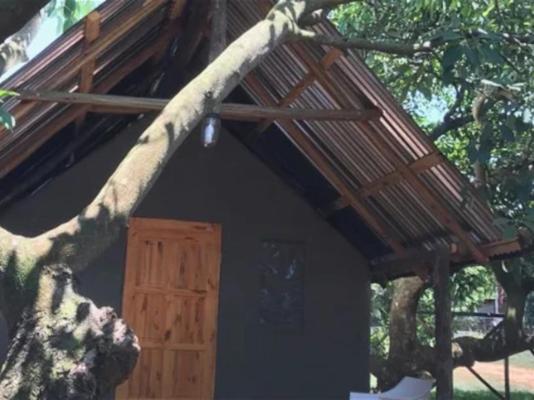 Mulberry Lane Suites & Tsanana Log Cabins - 244227