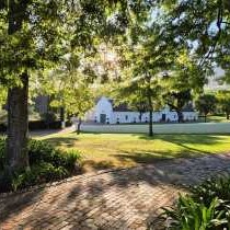 Sunrise at Webersburg wine estate