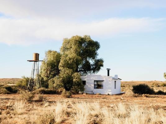 Soutaar Guestfarm - 244439