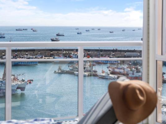 Harbour Club - 244468