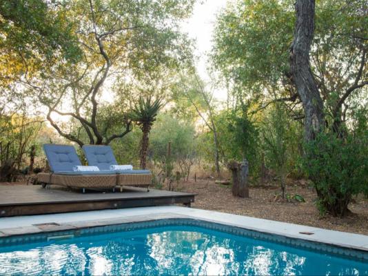 Nzenga Lodge - 244495