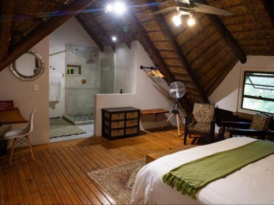 Nzenga Lodge - 244509