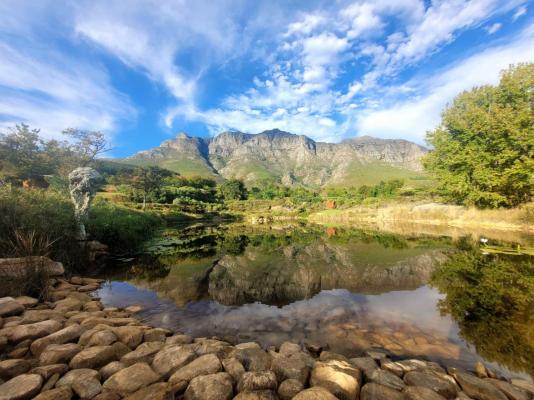 River Front - 244652