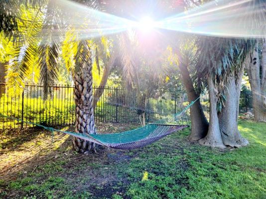 River Front - 244664