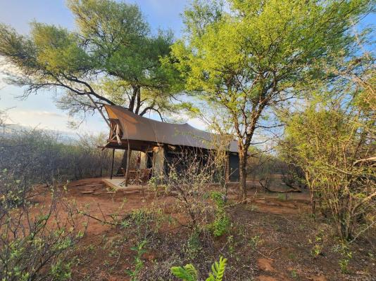 Lentegeur Wildlife - 244717