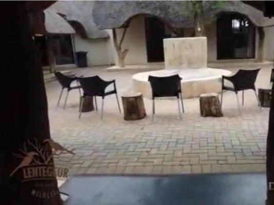 Lentegeur Wildlife - 244768