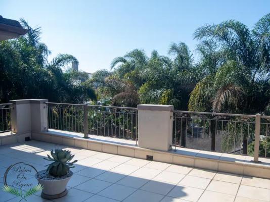 Palms On Byrne - 244772