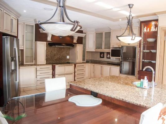 Palms On Byrne - 244788