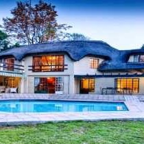 Thatchfoord Lodge - 244945