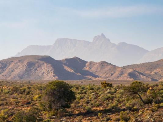 Aardvark Bioreserve - 245014