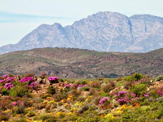 Aardvark Bioreserve - 245016