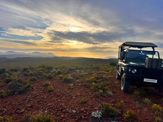 Aardvark Bioreserve - 245017