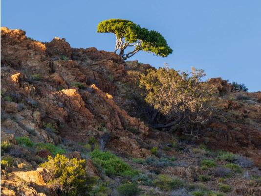 Aardvark Bioreserve - 245019