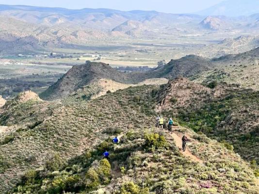 Aardvark Bioreserve - 245020