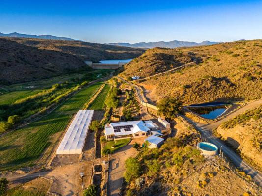 Aardvark Bioreserve - 245021