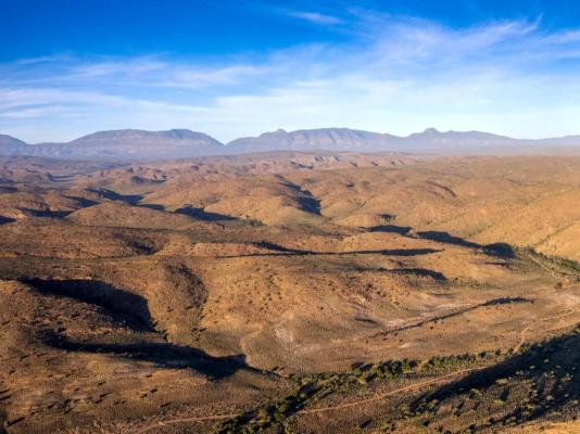 Aardvark Bioreserve - 245022