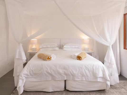 Aardvark Bioreserve - 245026