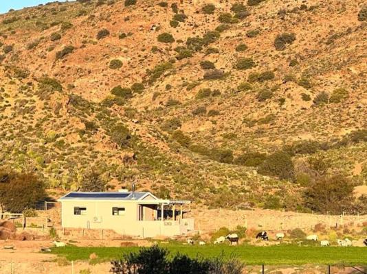 Aardvark Bioreserve - 245048